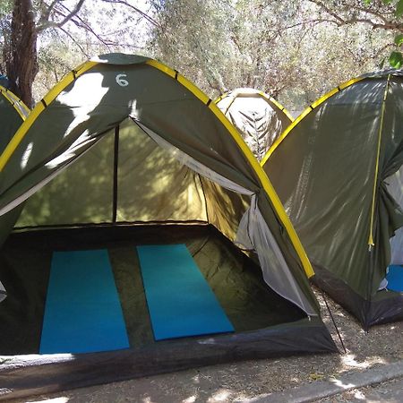 Camping Koula パロス島 エクステリア 写真