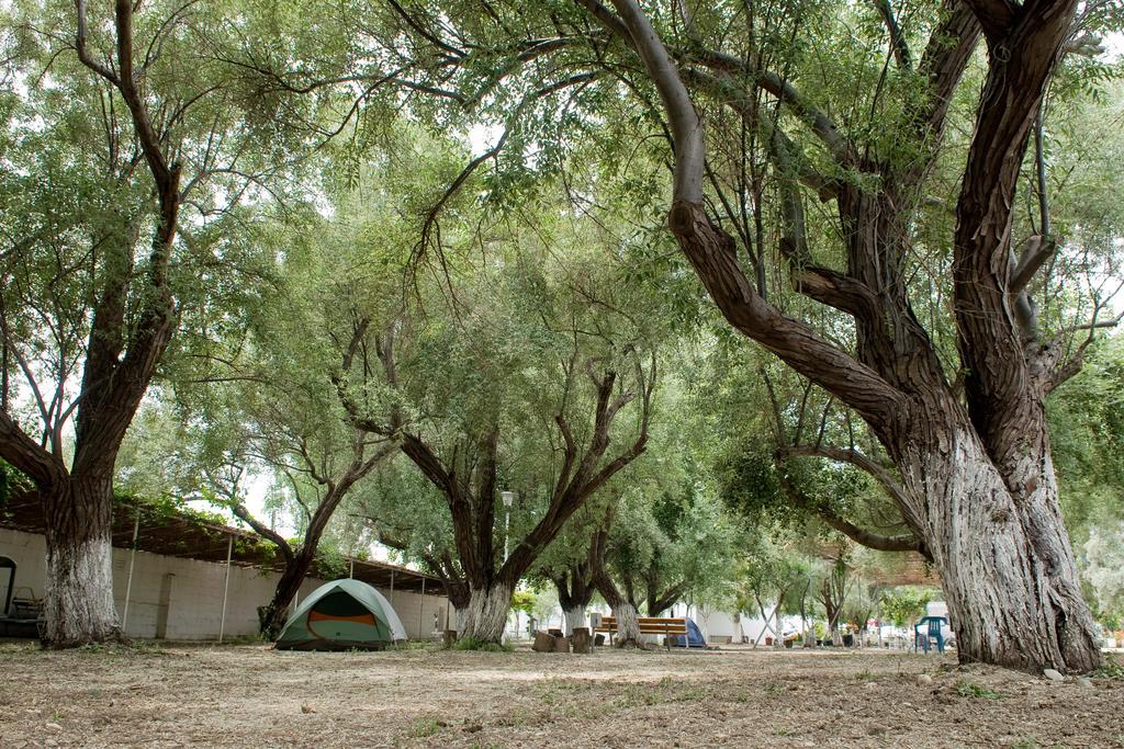 Camping Koula パロス島 部屋 写真